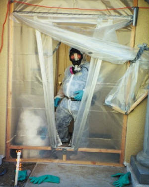 mold-remediation-containment-area.jpg